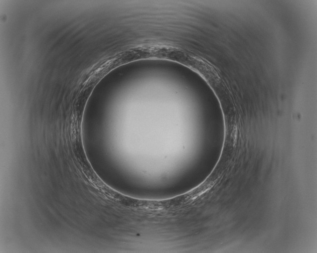 X0000085211014200703161213