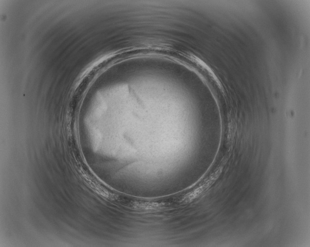 X0000085211019200703161213
