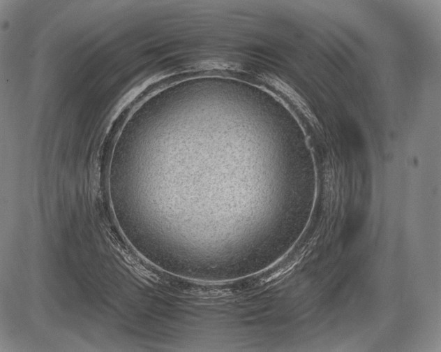 X0000085211023200703161214