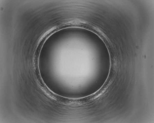 X0000085211026200703161214