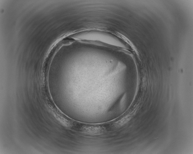 X0000085211027200703161214