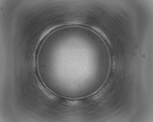 X0000085211031200703161214
