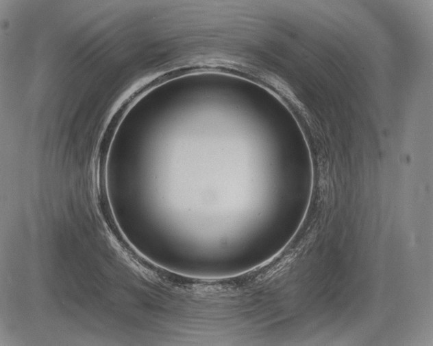 X0000085211032200703161214