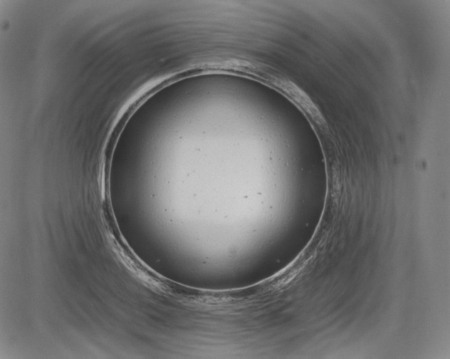 X0000085211036200703161214