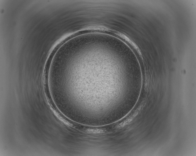 X0000085211037200703161214