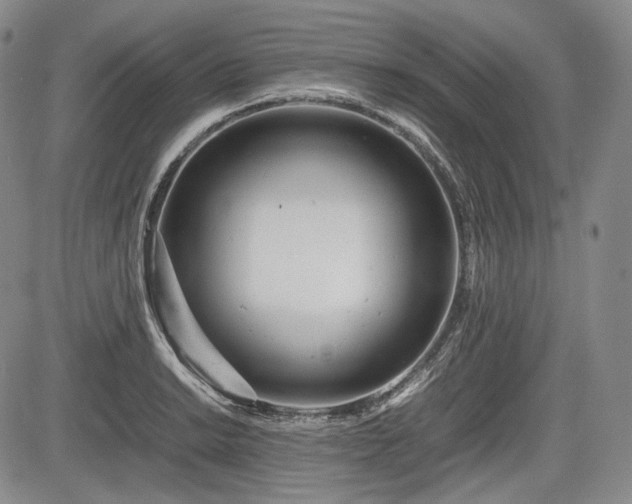 X0000085211038200703161214