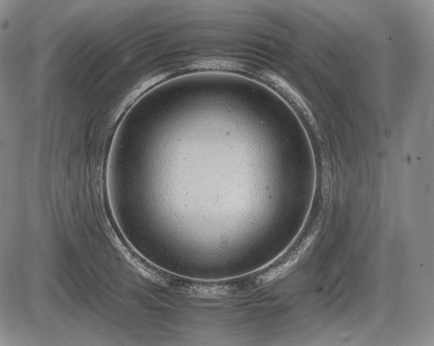 X0000085211041200703161214
