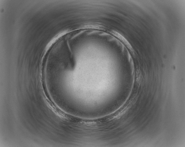 X0000085211043200703161214