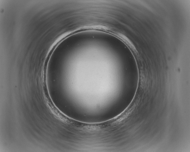 X0000085211044200703161214
