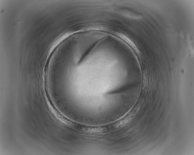X0000085211047200703161214