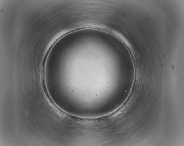 X0000085211048200703161214