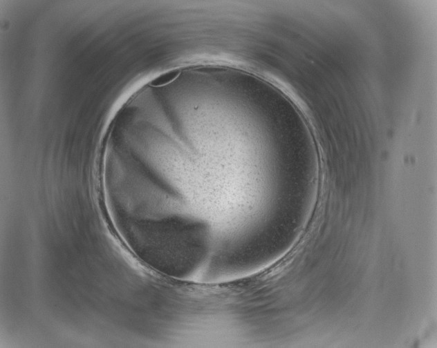 X0000085211056200703161214