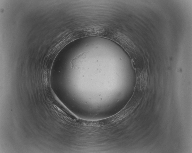X0000085211058200703161213