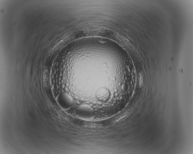 X0000085211059200703161213