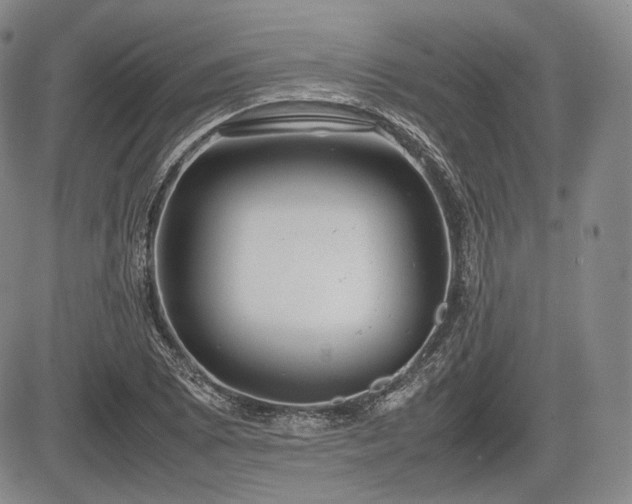 X0000085211073200703161213