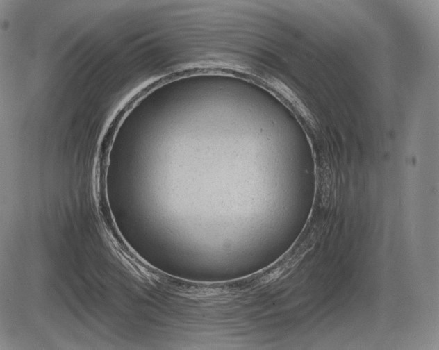X0000085211076200703161213
