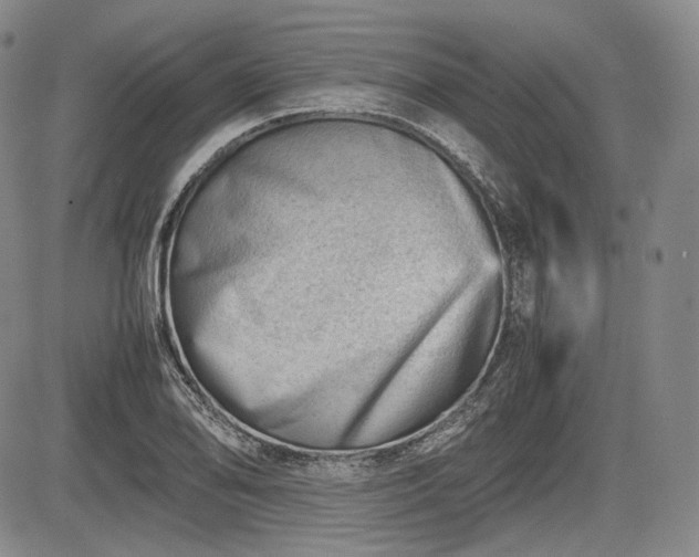 X0000085211078200703161213
