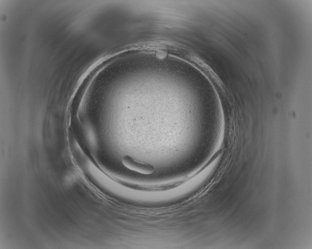 X0000085211083200703161213
