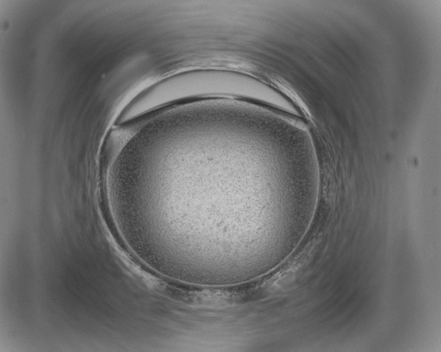 X0000085211087200703161213