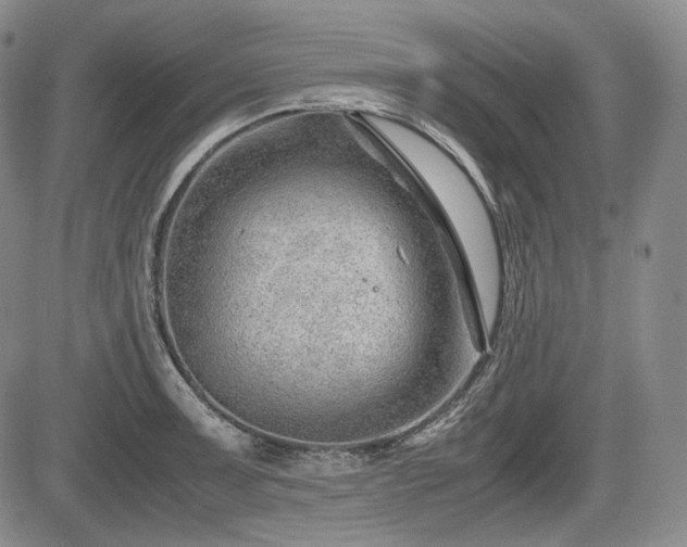 X0000085211091200703161213