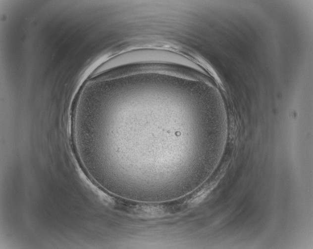 X0000085211095200703161213