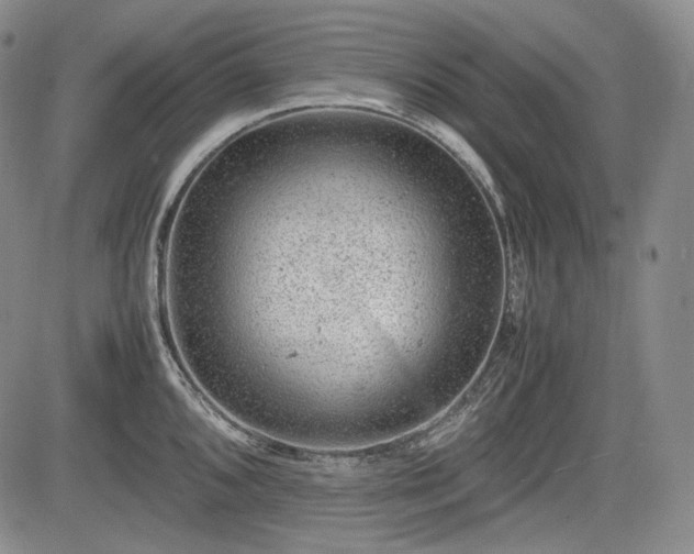 X0000085211096200703161213