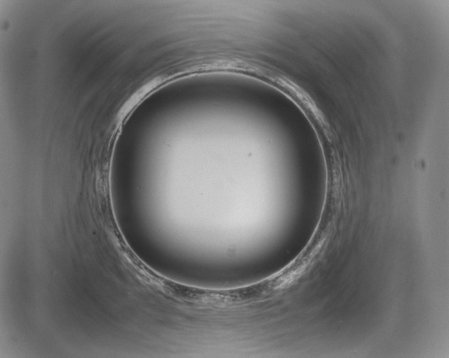 X0000085211097200703161213