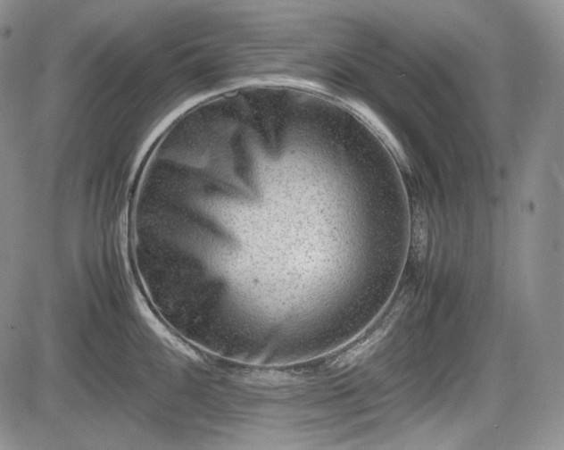 X0000085211100200703161213