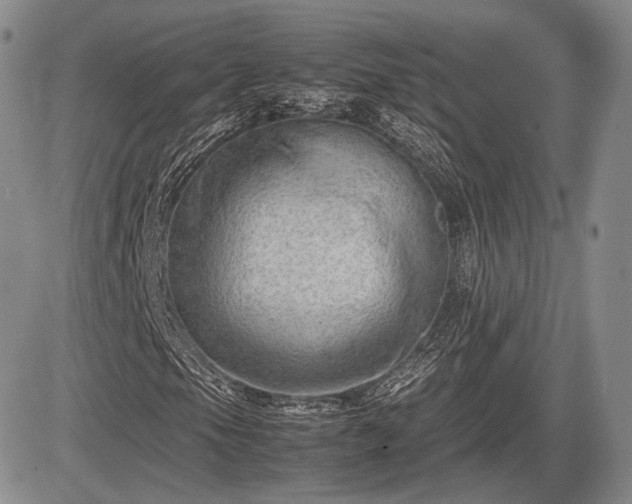 X0000085211105200703161212