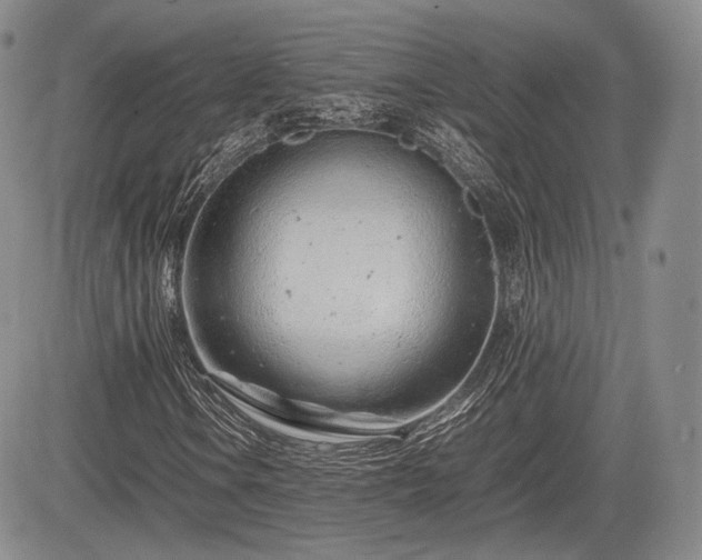 X0000085211106200703161212
