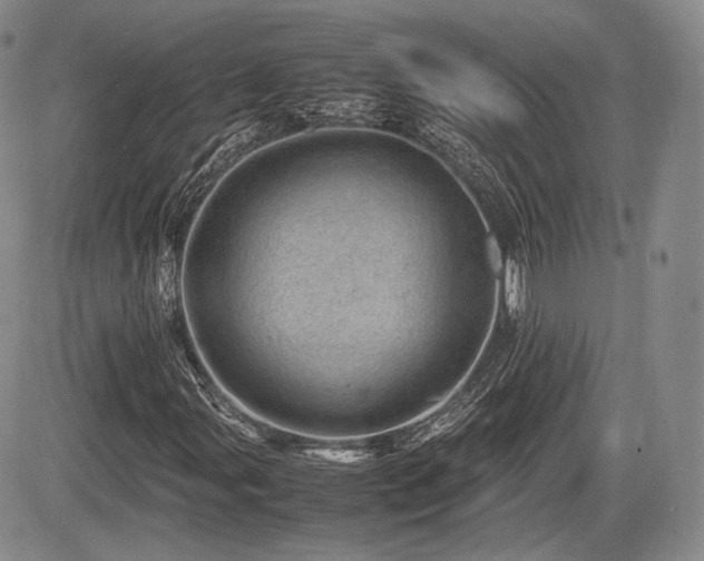 X0000085211107200703161212