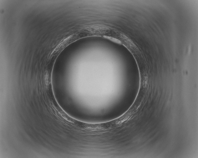 X0000085211108200703161212