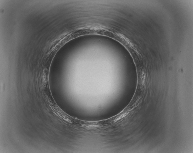 X0000085211110200703161212