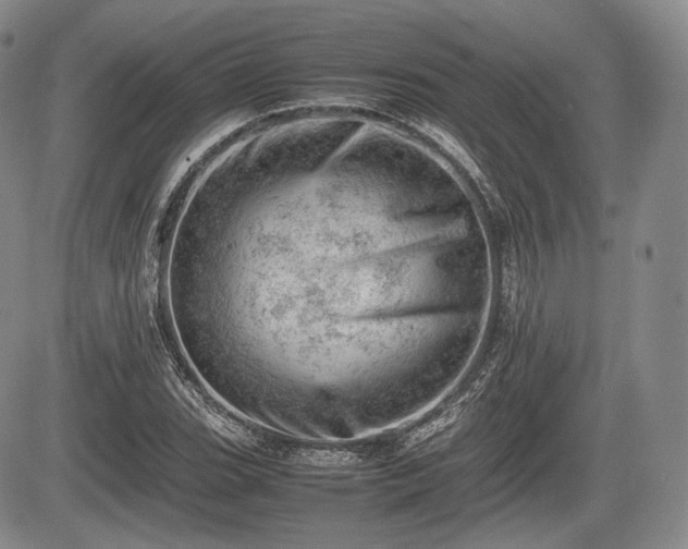 X0000085211119200703161212