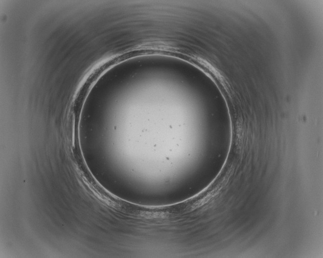 X0000085211123200703161212