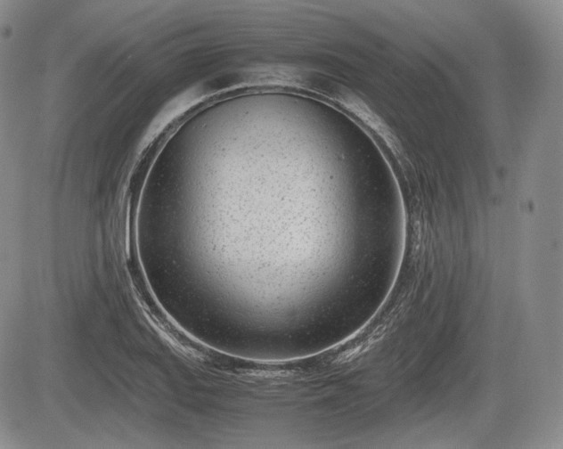 X0000085211127200703161212