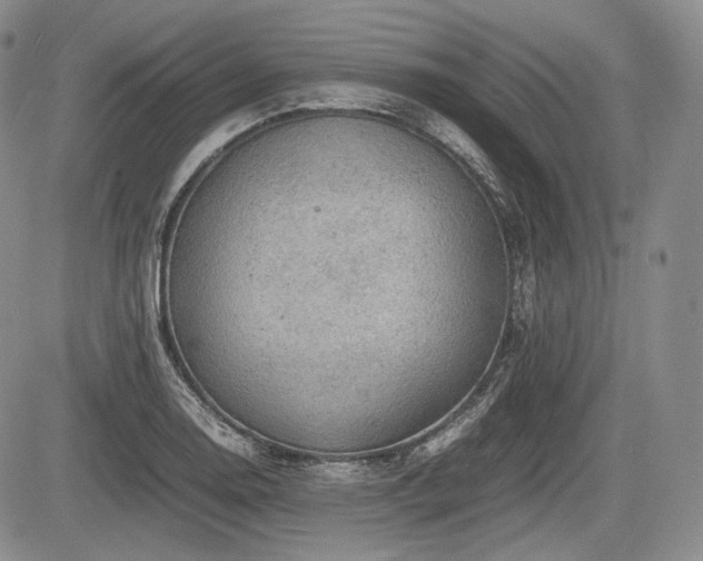 X0000085211130200703161212