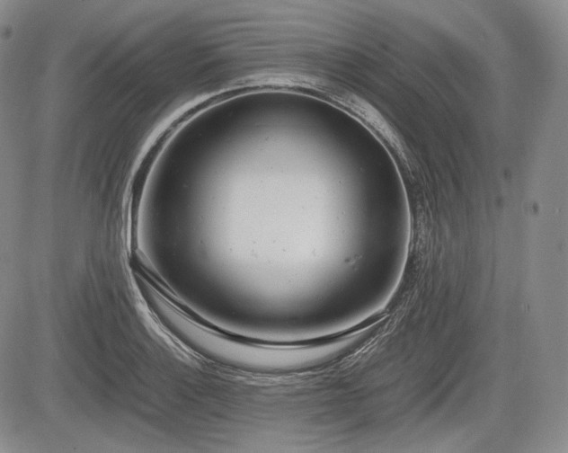 X0000085211132200703161212