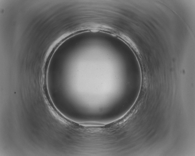 X0000085211136200703161212