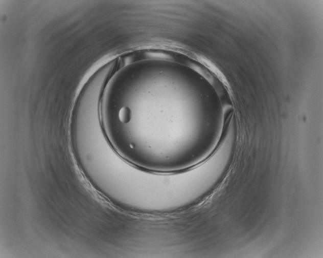 X0000085211138200703161212