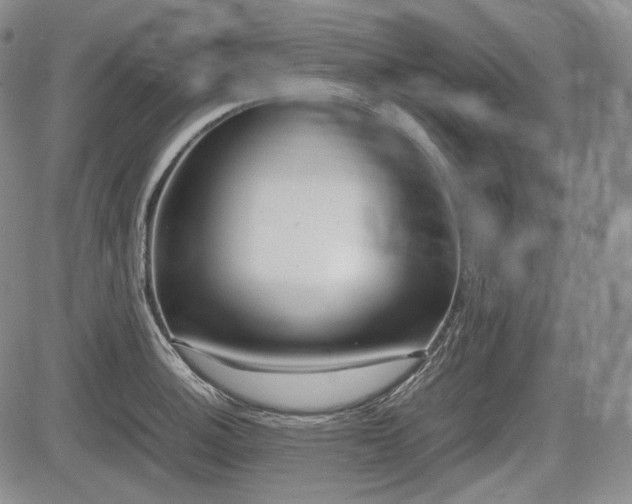 X0000085211140200703161212