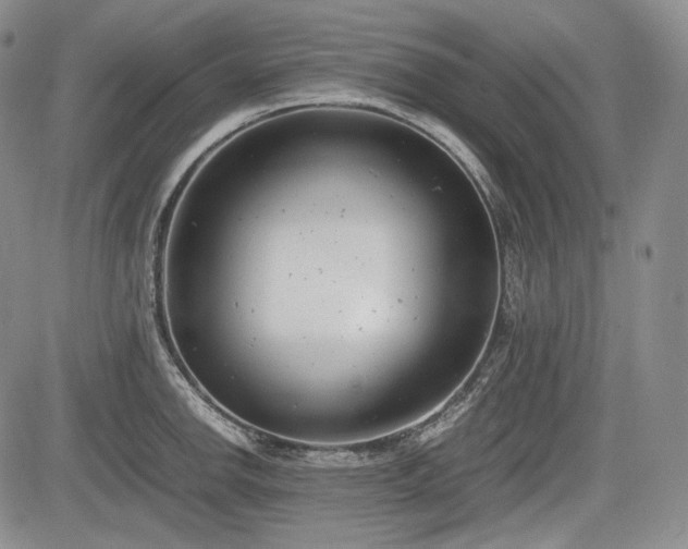 X0000085211142200703161212