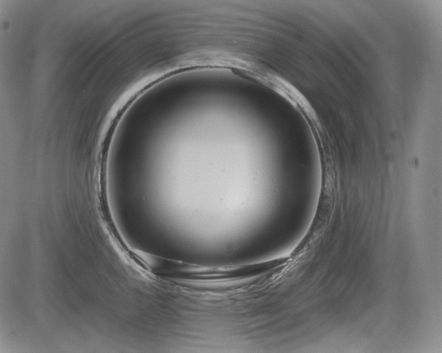 X0000085211144200703161212