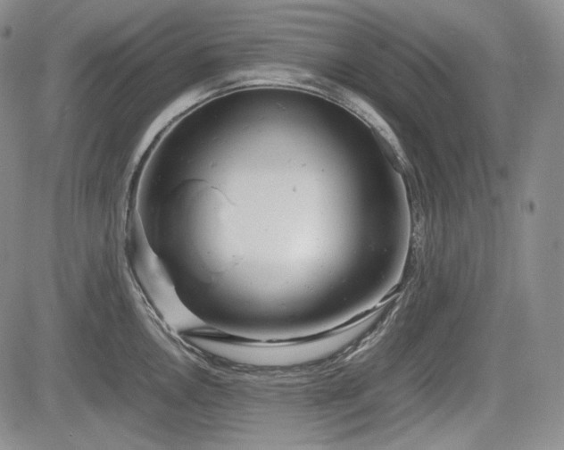X0000085211146200703161212