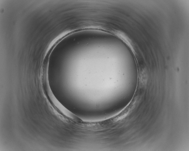 X0000085211149200703161212