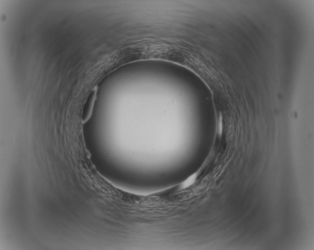 X0000085211153200703161212