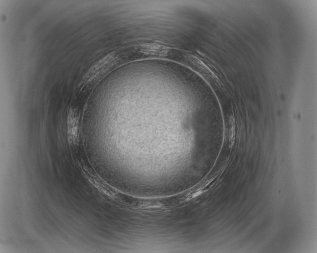 X0000085211154200703161212