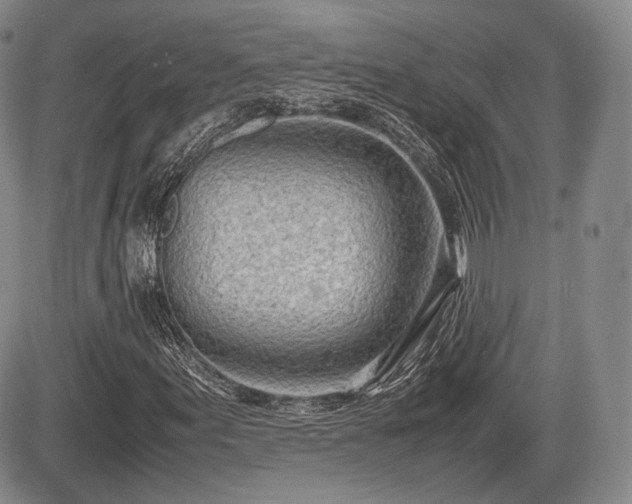 X0000085211155200703161212