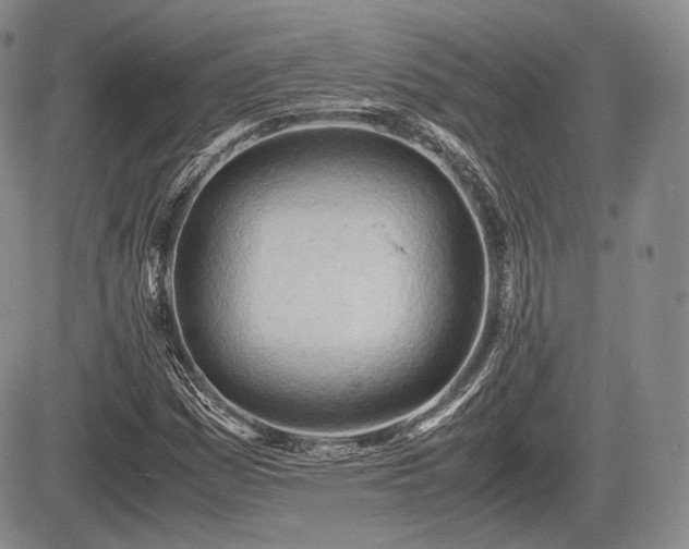 X0000085211161200703161212