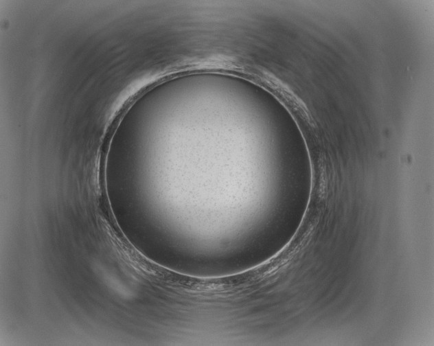 X0000085211174200703161211